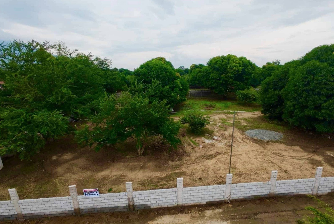 Mango Farm Back View Paralaya Arayat Pampanga For Sale