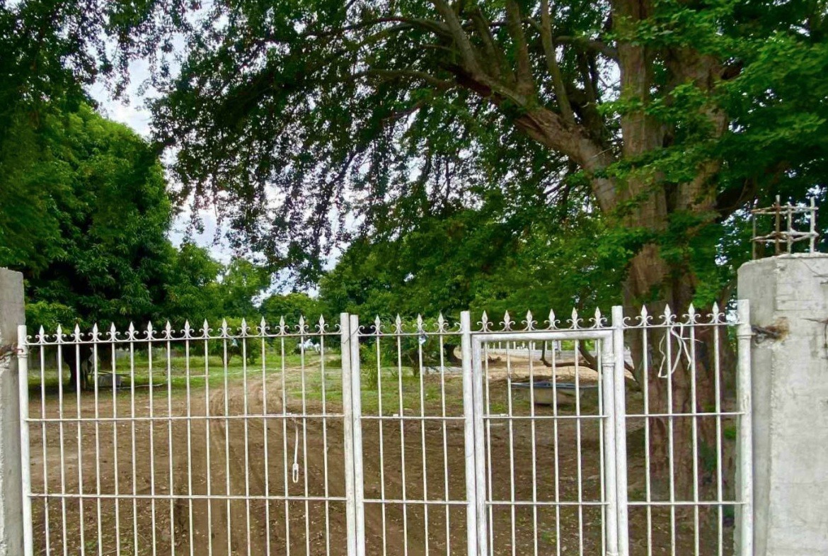 Mango Farm Gate View Paralaya Arayat Pampanga For Sale