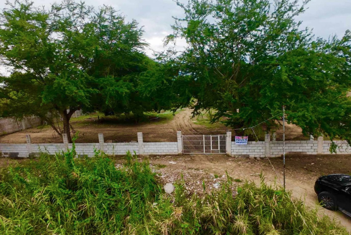 Mango Farm Front View Paralaya Arayat Pampanga For Sale