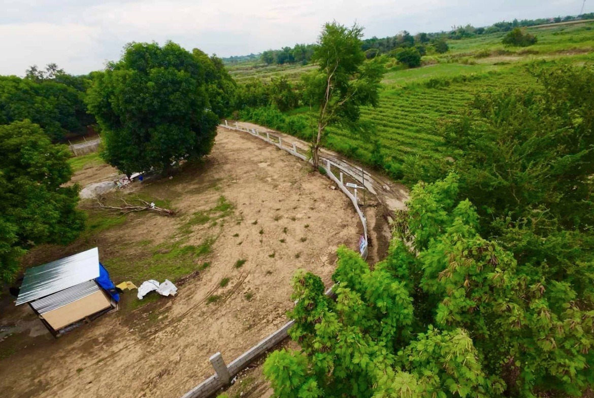 Mango Farm Right Side View Paralaya Arayat Pampanga For Sale